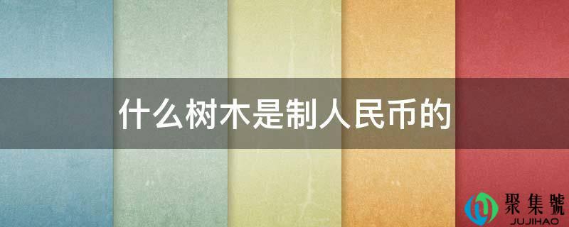 什么树木是造人民币的