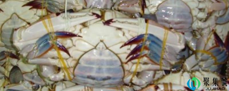 详细阅读:冷冻螃蟹能间接蒸吗 冷冻螃蟹能间接蒸吗