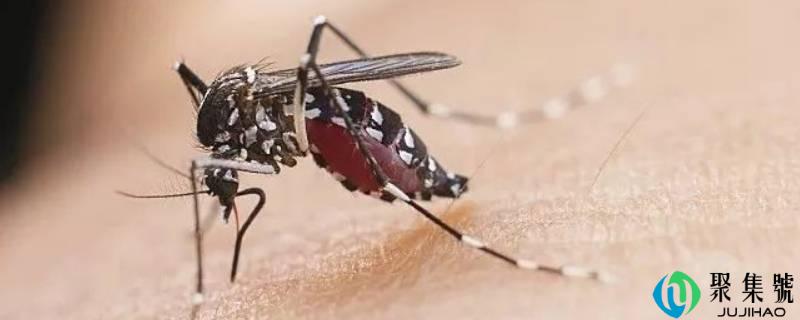 蚊子趋光性仍是避光性