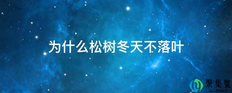 详细阅读:为什么松树冬天不落叶 为什么松树冬天不落叶