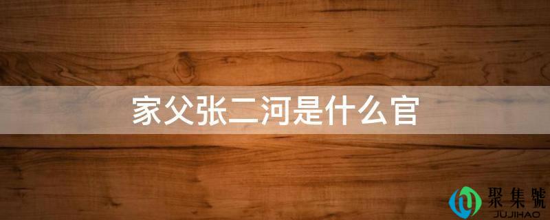 家父张二河是什么官