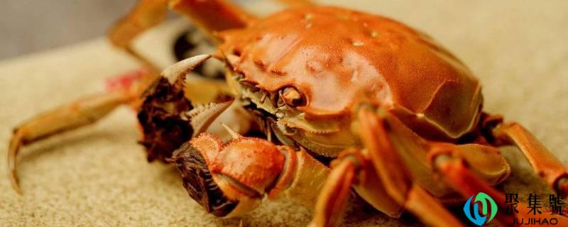 三两的螃蟹要蒸多久