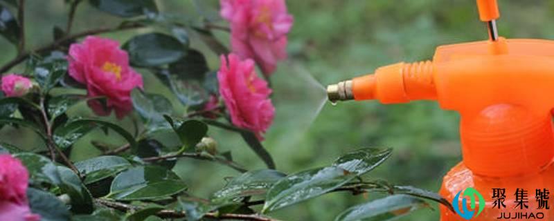 详细阅读:洗米水发酵多久能够浇花 洗米水发酵多久能够浇花