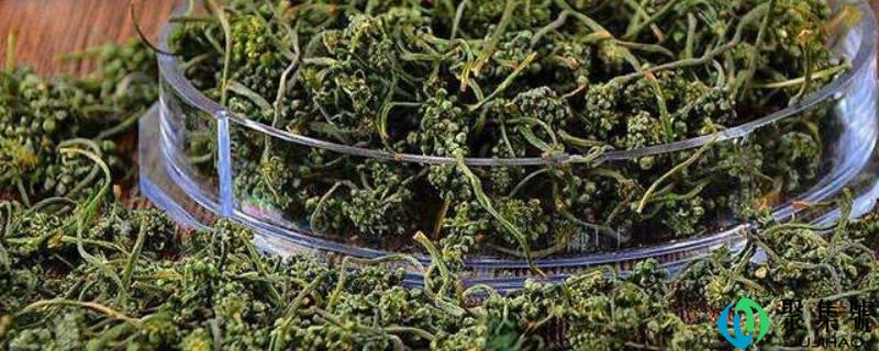 详细阅读:人参花什么人不克不及喝 人参花什么人不克不及喝