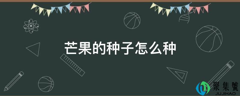 芒果的种子怎么种植方法(芒果的种子怎么种出树)