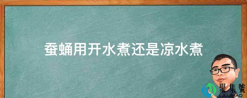 蚕蛹用开水煮还是凉水煮