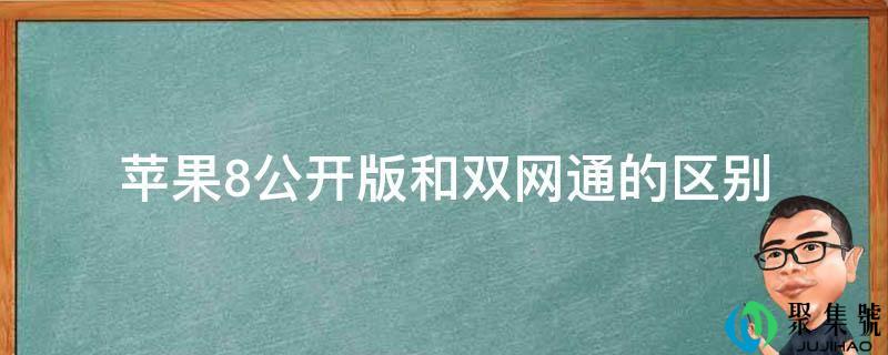 苹果8公开版和双网通的区别