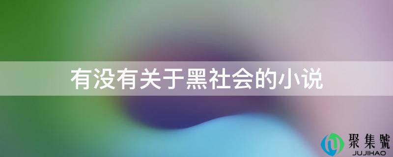 有没有关于黑社会的小说