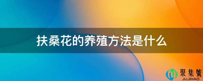 扶桑花的养殖方法是什么