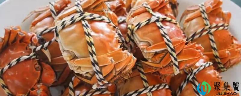 常见海边小螃蟹品种