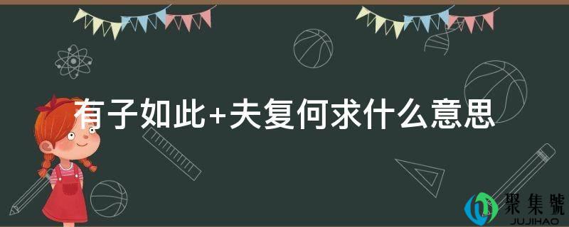 有子如此 夫复何求什么意思