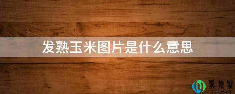 发熟玉米图片是什么意思