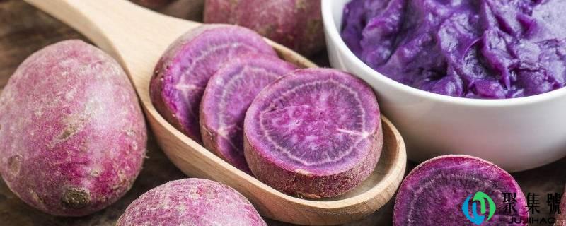 一个紫薯的热量是多少大卡