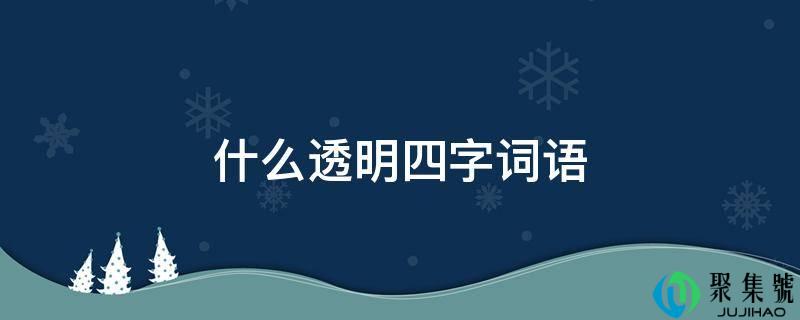什么透明四字词语