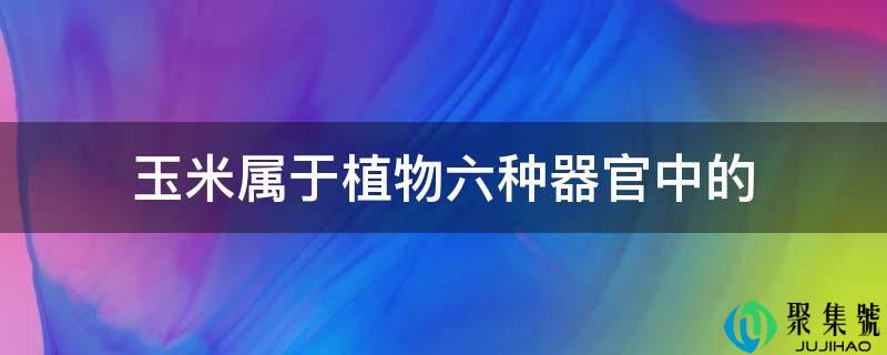 玉米属于植物六种器官中的