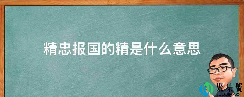 精忠报国的精是什么意思