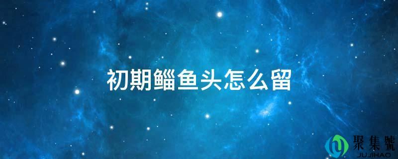 初期鲻鱼头怎么留