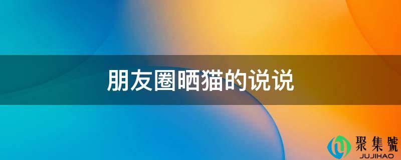 朋友圈晒猫的说说