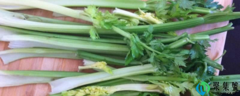 胡芹怎么炒好吃