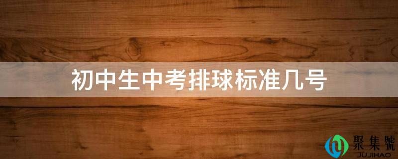 初中生中考排球标准几号
