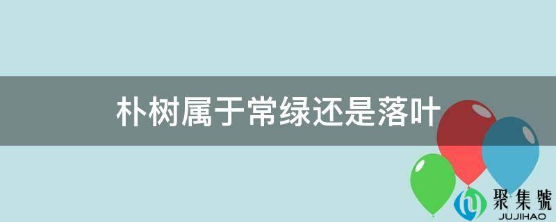 朴树属于常绿还是落叶