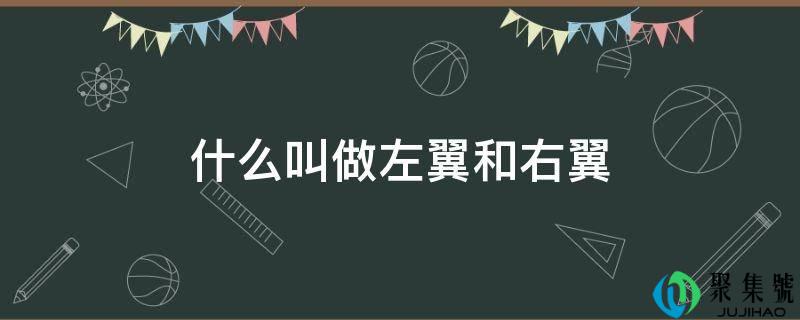 什么叫做左翼和右翼