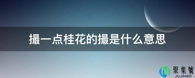 撮一点桂花的撮是什么意思