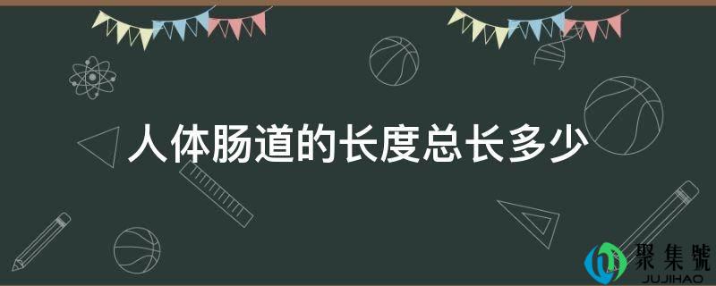 人体肠道的长度总长多少