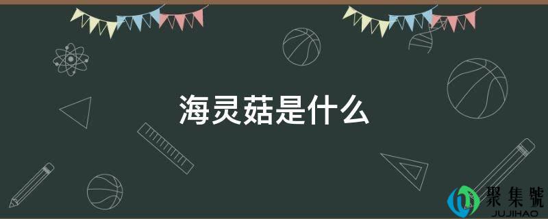 海灵菇是什么