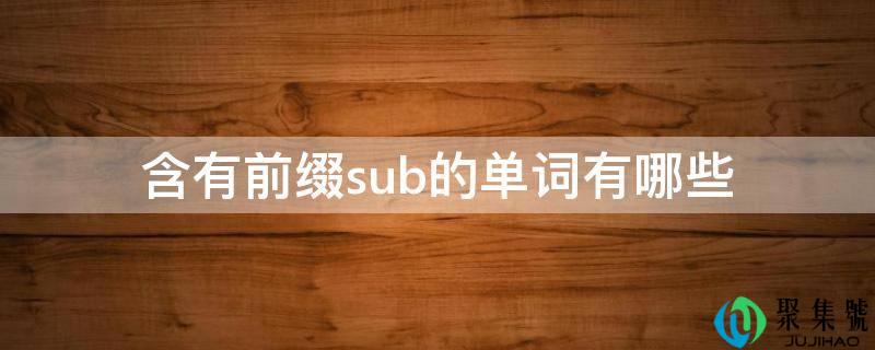 含有前缀sub的单词有哪些
