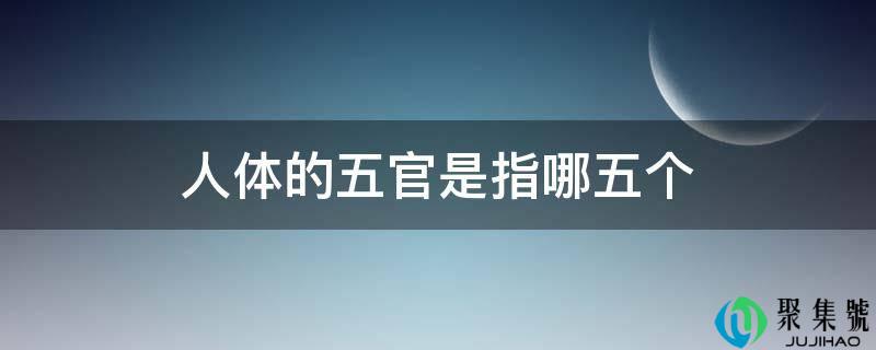 人体的五官是指哪五个