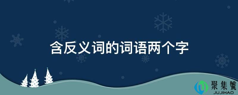 含反义词的词语两个字