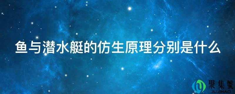 鱼与潜水艇的仿生原理分别是什么