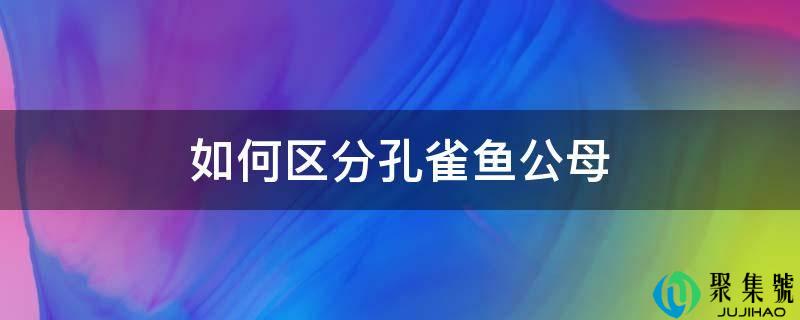 如何区分孔雀鱼公母