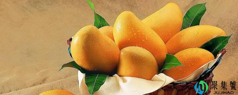 金煌芒果什么程度算熟了