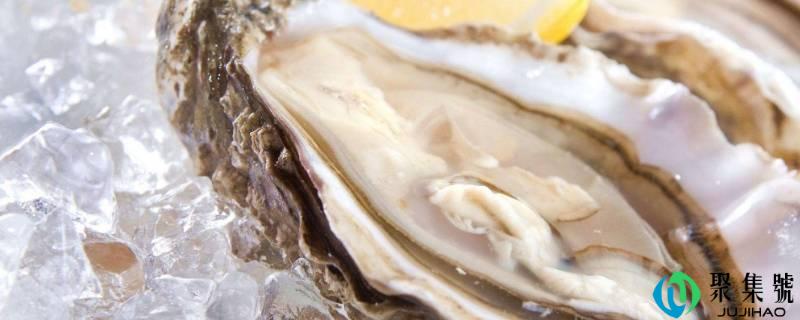 冰冻的生蚝还有营养吗