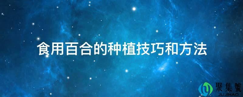食用百合的种植技巧和方法