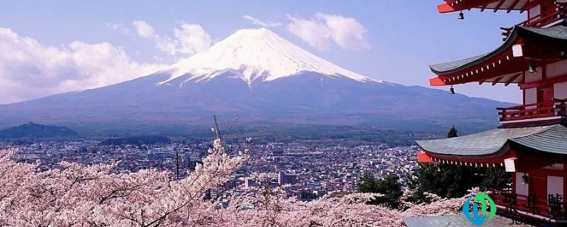 富士山的主人是谁