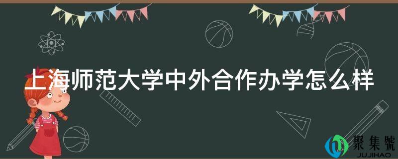 上海师范大学中外合作办学怎么样
