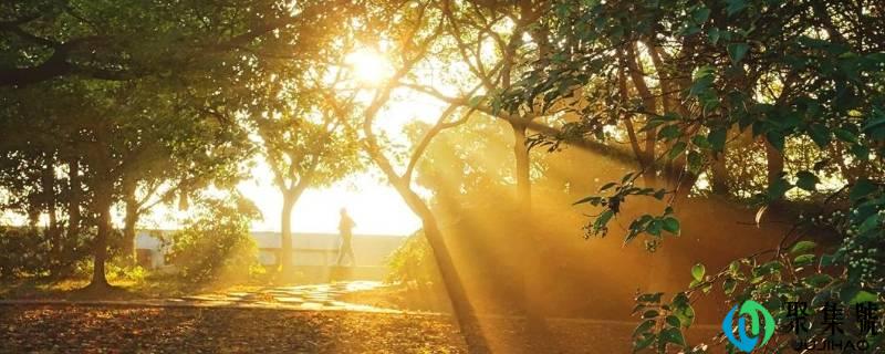 隔着玻璃晒太阳和直接晒的区别