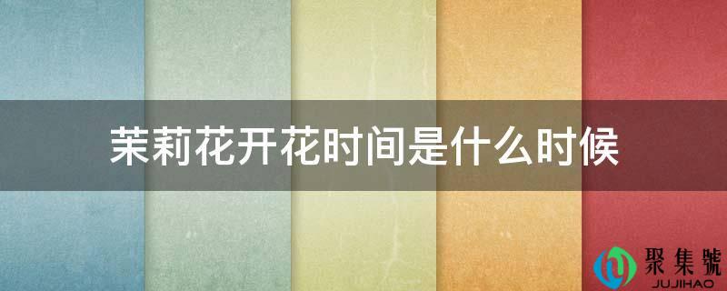 茉莉花开花时间是什么时候