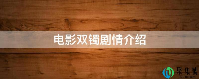电影双镯剧情介绍