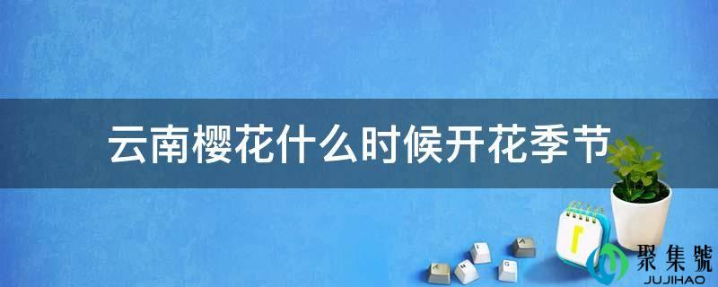 云南樱花什么时候开花季节