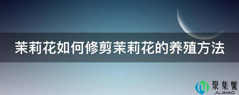 茉莉花如何修剪茉莉花的养殖方法