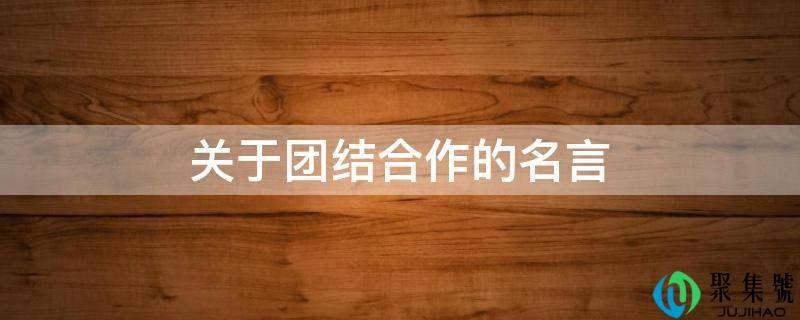 关于团结合作的名言