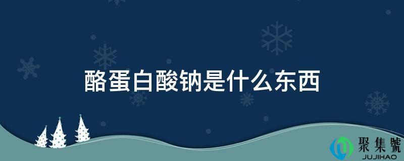 酪蛋白酸钠是什么东西
