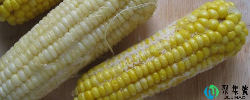 冻玉米煮多长时间就熟了