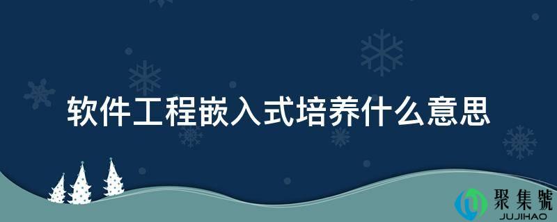 软件工程嵌入式培养什么意思