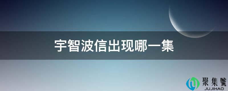 宇智波信出现哪一集