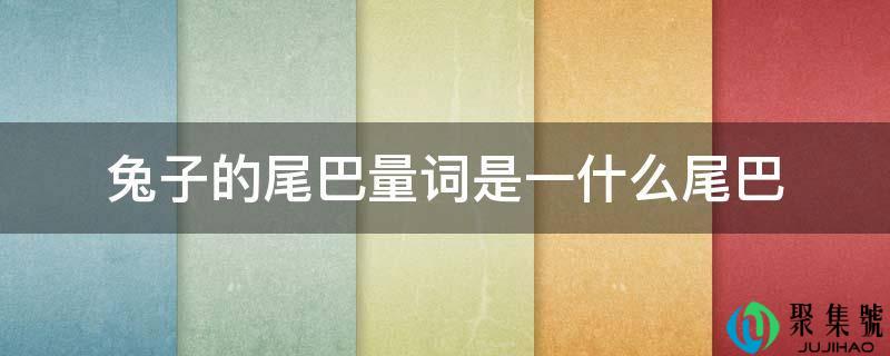 兔子的尾巴量词是一什么尾巴